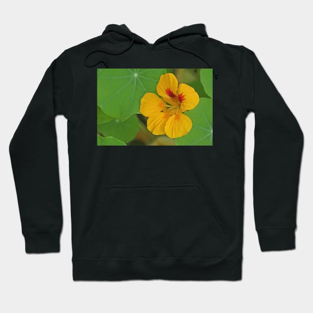 Nasturtium Hoodie by EileenMcVey